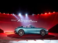 ������Roma Spider����������&ldquo;Ծ&rdquo;��