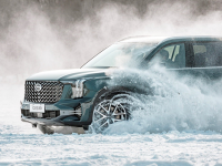 17.28 ������GS8 ��СҰ�������ѡ��