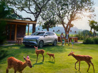 �������L8��ʽ���� ��ʱ�û��۽�11.39��Ԫ��