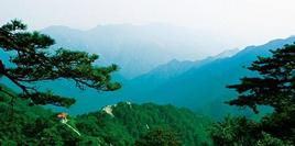 ̽�����ɽ 31��ɭ����֮��ѡ������ļ