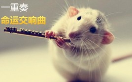 ��������������-���崺�����������չ�