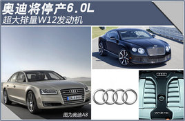�µϽ�ͣ��6.0L ��������W12������(ͼ)
