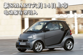�����¿�SMART�������� �綯����������