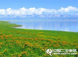 �Լ��μ� ��Ŀ���ļ���ɫͼƬ����