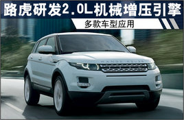 ·���з�2.0L��е��ѹ�������Ӧ��