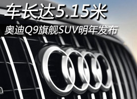 �µ�Q9�콢SUV���귢�� ������5.15��