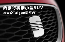 �����ؽ���С��SUV �����Taigunͬƽ̨