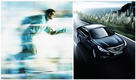 �����¹� 2013���������������������