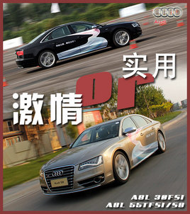 ʵ�û��Ǽ��飿 �Լ�����µ���A8L/S8