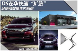 DS�ڻ����١����š� �������������ڷ���