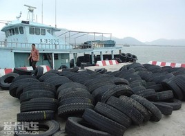 ���˺��ز��Ӿ�����˽���ڵķϾ���̥