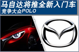 ���Դｫ��ȫ�����ų���������POLO(ͼ)