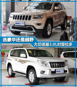 ѡ��������ԽҰ ����ŵ��3.0L��������