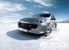 ����Ũ����������Ϣ �����������307