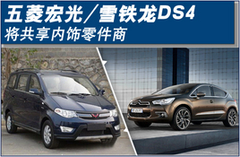 ������/ѩ����DS4 ���������������