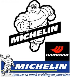 ��������̥��ӵ�к�̩��̥�Ĳ��ֹɷ�