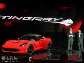 2014��ѩ�����ƶ�ά��Stingray��ʽ����