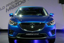 ʮ������SUV���� ��С�ͻ�