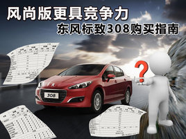 ���а���߾����� �������308����ָ��