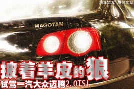 ������Ƥ���� �Լ�һ����������2.0TSI