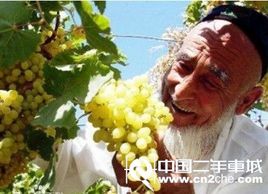 �Լ��μ� �����Լ���ȥ�����