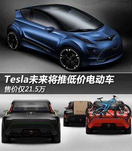 �ۼ۽�21.5�� Teslaδ�����Ƶͼ۵綯��