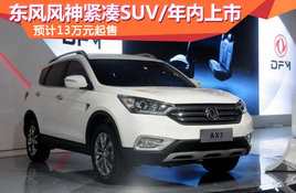 ����������SUV�������� Ԥ��13������