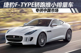 �ݱ�F-TYPE������С������ ר���й��г�