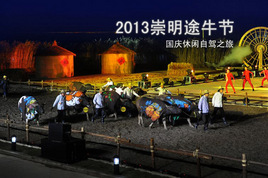 2013���������Լ���֮����Ϳţ��