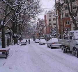 ����ѧ�� ��ѩ��������α�����ȫ����