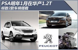 PSA����1���ڻ���1.2T ����2�������