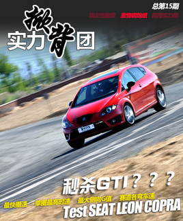 �������ܳ�����ϵ�� ������LEON CUPRA