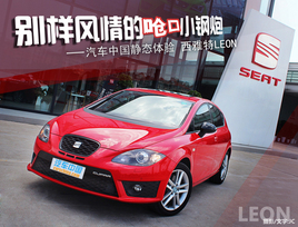 ���������Ǻ��С���� ��̬����������LEON