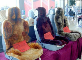 ����»��� ѡ����ë���滹���û���