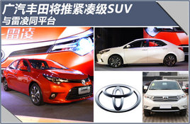 �������ｫ�ƽ��ռ�SUV ������ͬƽ̨ͼ