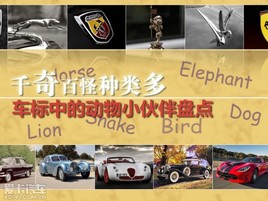 ǧ��ٹ������ �����ж���С����̵�