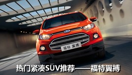 ���Ž�����SUV�����Ƽ� ������������