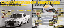 ������֮��������(Saleen)�����ȴ���