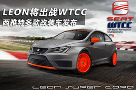 LEON����սWTCC �����ض���װ������