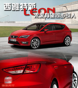 �������¿�LEON���� δ������ͬ������