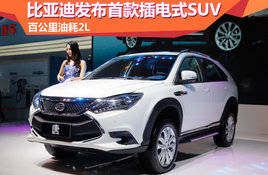 ���ǵϷ����׿���ʽSUV �ٹ����ͺ�2L
