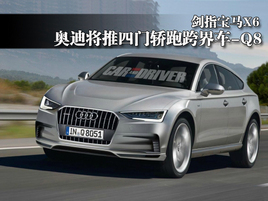 ��ָ����X6 �µϽ������Ž��ܿ�糵-Q8