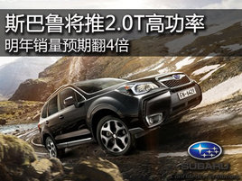 ˹��³��2.0T�߹��� ��������Ԥ�ڷ�4��