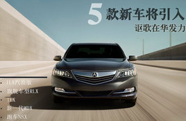 ک���ڻ������콢��RLX��5���³�������
