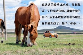ǣ������ȥ������ ����������һ��