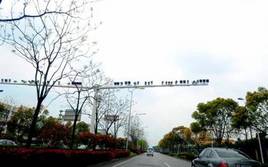 �ҿ�����ɱ�ֵ����ܣ�������H1��̬������