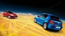 �������� �������307����ֵ����ѡ��