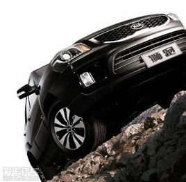 ǿ�ƻع� �����ô�����2013��ʨ������