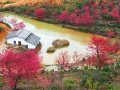 �紺��������ӣ��֮��