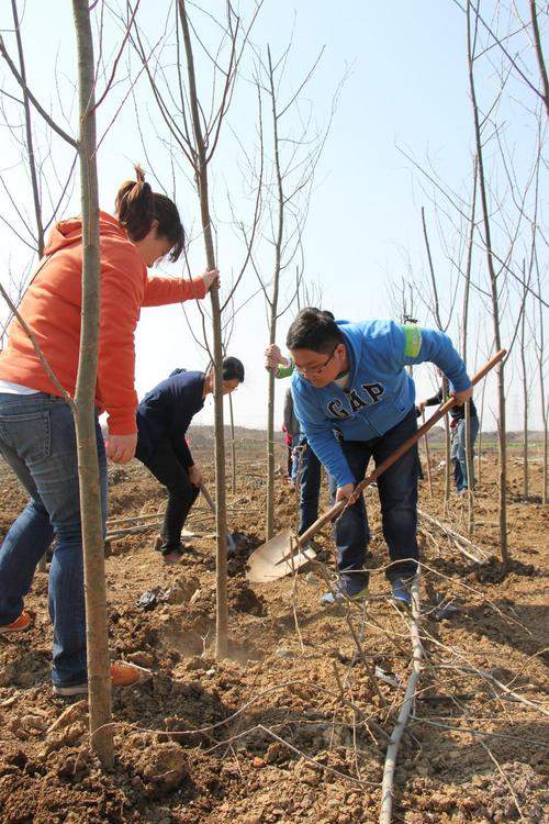 2014植樹節和無錫中威豐田一起播種春天